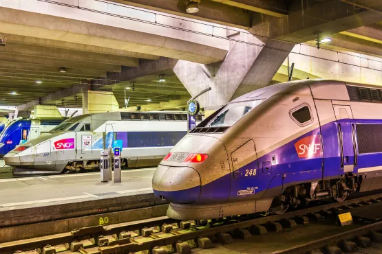 service taxi navette gare tgv marseille
